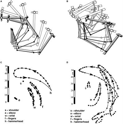 Forward to Bernstein: Movement Complexity as a New Frontier